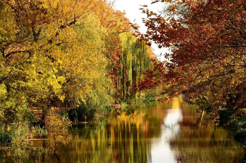 Őszi kikapcsolódás Harmóniában: mit csináljunk Békéscsabán és környékén?