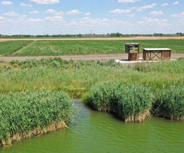 Wenckheim kerékpárút - Jaminai bányatavak